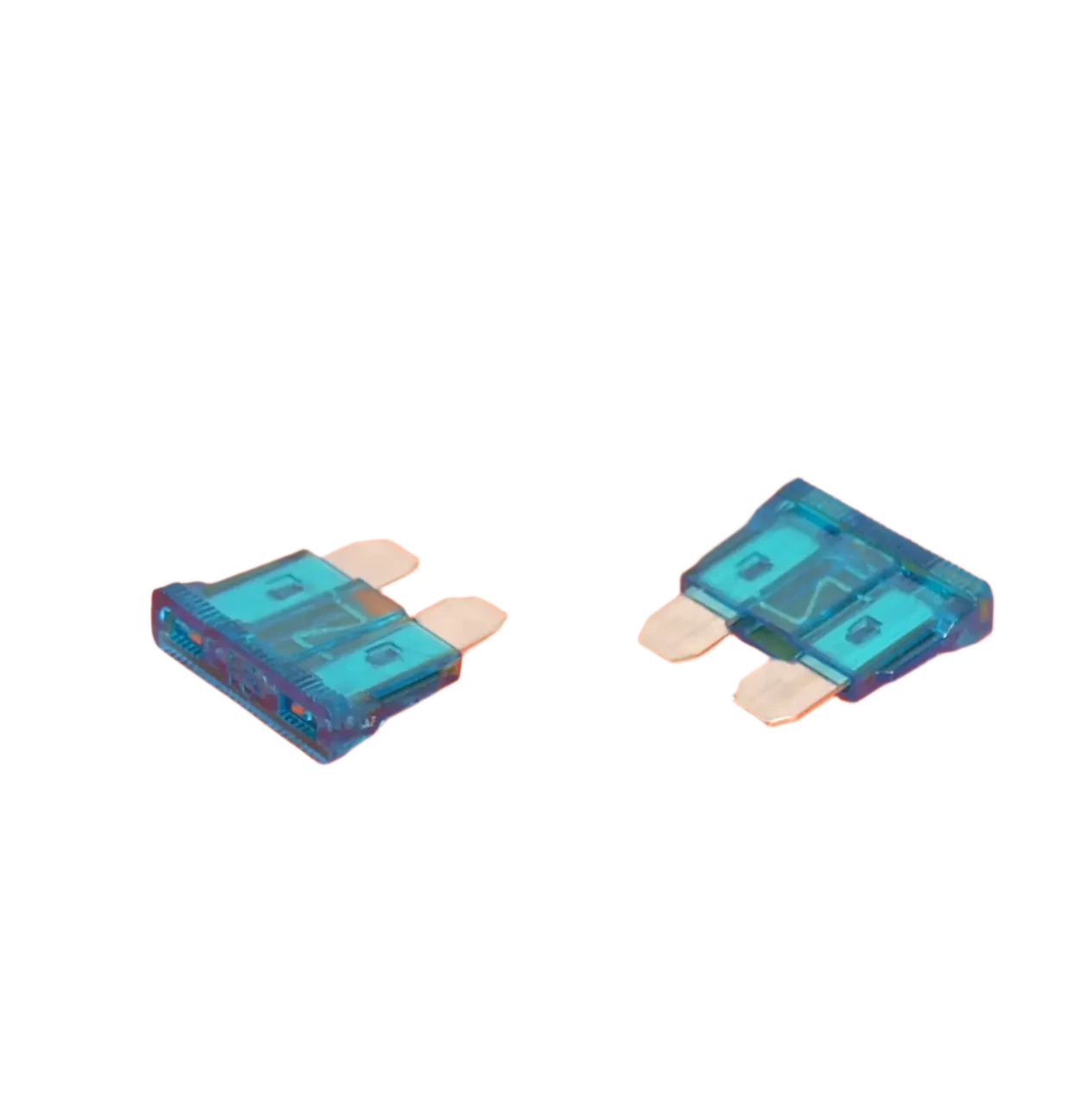 Standard Blade Fuses