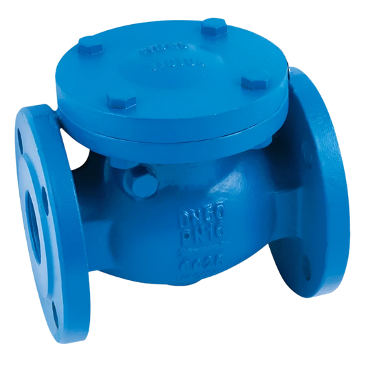 Flanged PN16 Cast Iron Metal Seated Swing Check Valve